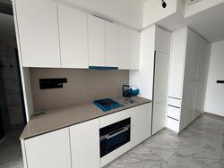 The Landmark (D3), Condominium #517026651